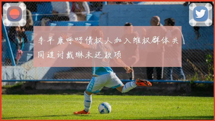 李平康呼吁债权人加入维权群体共同追讨戴琳未还款项