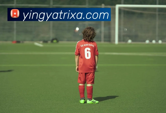 英亚体育发展历程